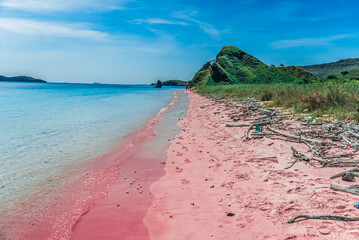 Pink beach, Komodo National Park, Indonesia