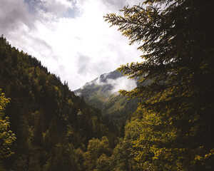 Cloud-draped alpine peak above lush forest, narrow waterfall carving slope on overcast summer day...