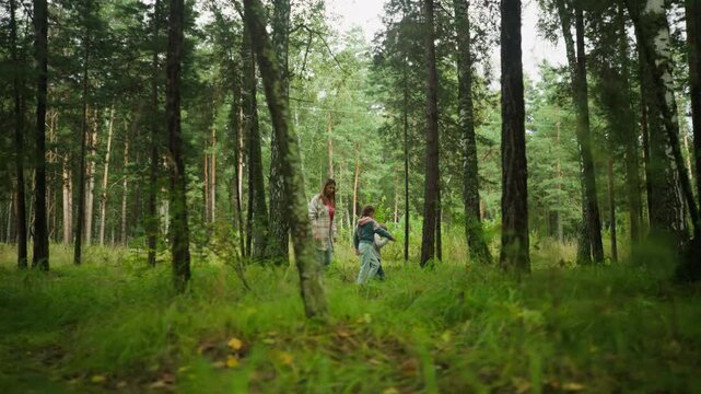 Little girl lets go of mother hand to collect object from brother while walking through dense forest, surrounded by tall pine trees, green foliage, and soft light filtering through woodland scenery