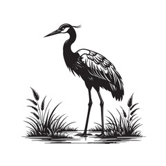 Exotic crane or heron bird 
