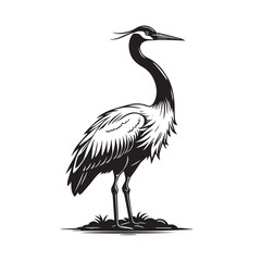 Exotic crane or heron bird 