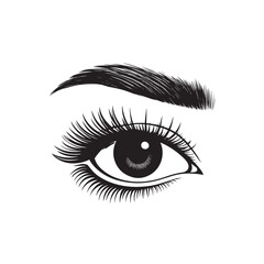 Hand drawn design of female eye with brows