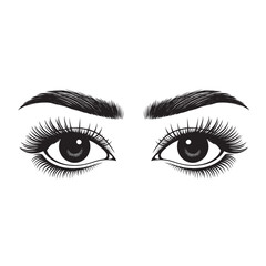 Fototapeta premium Hand drawn design of female eye with brows