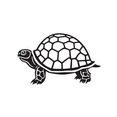 Sea turtle or tortoise silhouette isolated on white background