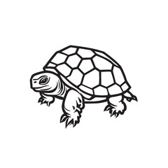 Sea turtle or tortoise silhouette isolated on white background