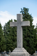 Close-up of a stone carving on an uninscribed tomb against a background of green cypress trees