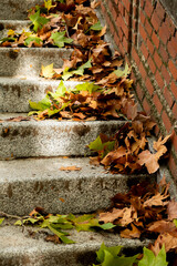 Fall leaves background. Fallen maple leaves on the old textured stone staircase - fall October landscape, retro tones applied