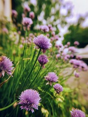 Fototapeta premium Radiant Pink and Purple Wildflowers with Lush Green Petals – Immersive Garden Visual for Eco-Wellness and Digital Wellness Trends