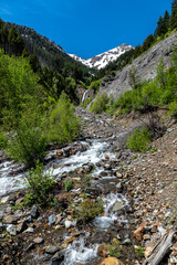 Falls Creek Falls in Oregon