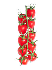 Fresh cherry tomatoes on a branch isolated on a white background