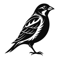 Stylish Standing Finch Vector Graphic Ideal for Nature Logos Wildlife Prints and Artistic Decor