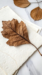 autumn leaves on wooden background