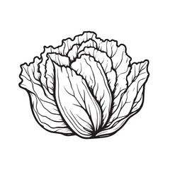 Lettuce or Cabbage line art icon 