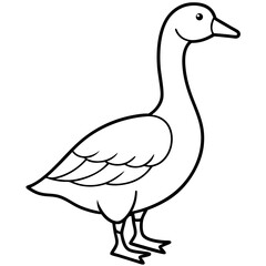 Goose Line Art Illustration