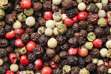 Colorful mix of peppercorns. Red black white and green dried pepper seeds background. Closeup of aromatic spicy grains. Macro texture for culinary seasoning and organic spice cooking design.