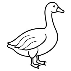 Goose Line Art Illustration