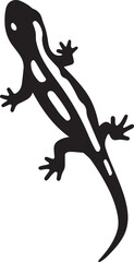 Obraz premium Wildlife salamander drawing black and white vector, Spotted animal illustration clean style