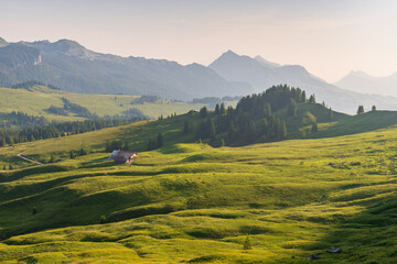 The Berner Oberland region blends dramatic alpine peaks with rolling green hills, dotted with wooden chalets and grazing cows. A picture-perfect Swiss landscape full of charm and serenity.
