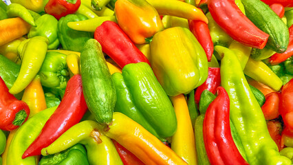 stale vegetables cucumber, pepper, carrot and tomato