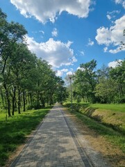 road in the park