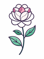 Rose vector line art colour white background 