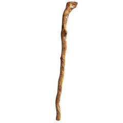 Fototapeta premium A rustic wooden walking stick with a natural curved design