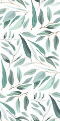 Elegant eucalyptus branches and leaves pattern on white backdrop for design ideas