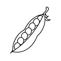 green peas line drawing illustration