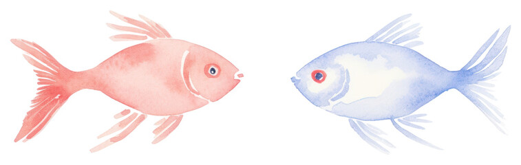 Fototapeta premium PNG Fishes as divider watercolor animal sea life.