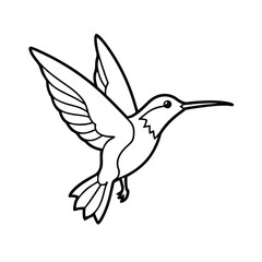 hummingbird flying drinking nectar outline art