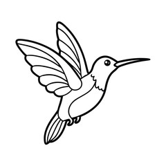 hummingbird in flight