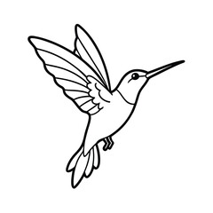 hummingbird flying drinking nectar outline art