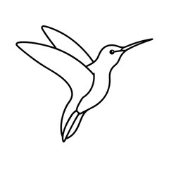 hummingbird vector icon