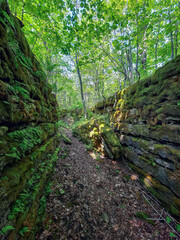 Fototapeta premium A forest crevice reveals a view upward to the sky through green young trees, framed by tall, fern and moss-covered rock walls. Old leaves and branches blanket the ground.