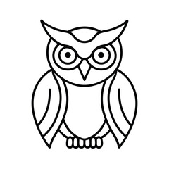 owl on white background