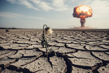 Dried flower amidst cracked earth explosion background