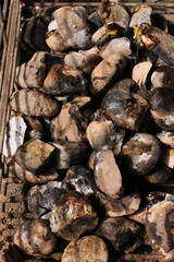 photography of traditional Peruvian food called Pachamanca. Food concept.