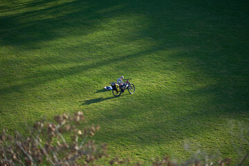  A man with a bicycle is relaxing in the park. Drone shooting. A lonely man is reading a book in an...