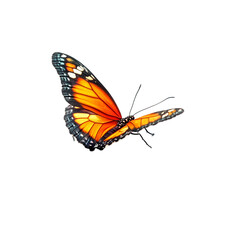 Obraz premium Orange butterfly in flight against a black background beautiful insect wings nature wildlife