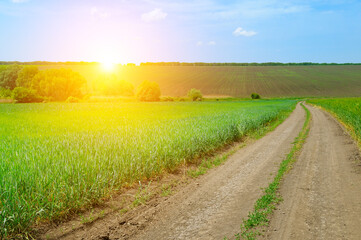 country road, green farmland natural scenery and bright sunset.
