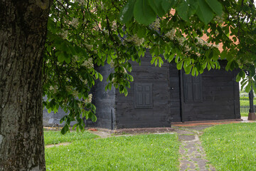 Rustic Wooden Cabin Surrounded by Greenery and Nature in Tranquil Setting