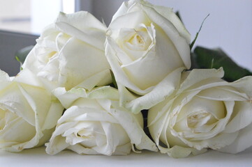 wedding bouquet of white roses