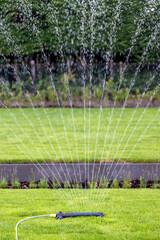 Refreshing garden sprinkler watering vibrant green lawn with purple flowers.
