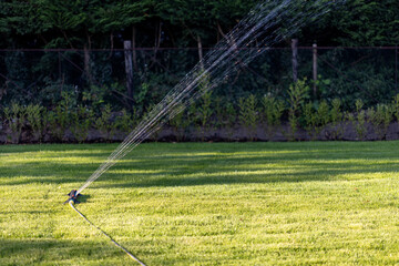 Vibrant garden sprinkler watering lush green lawn in serene evening.