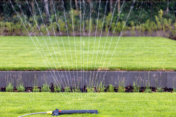 Refreshing garden sprinkler watering vibrant green lawn with purple flowers.