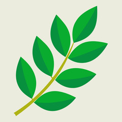 green leaves isolated on white