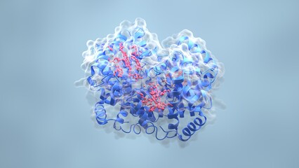Hemoglobin molecule ribbon surface model 3D render image can be used in medical-science articles, biotech intros and research presentations