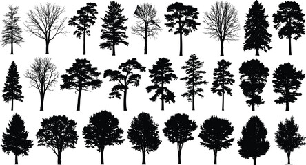 Tree silhouettes collection, botanical shapes, forest design, natural variety, conifer outlines, deciduous trees, bare branches, organic forms,