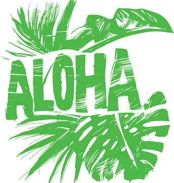 paint stroked grunge vector drawing of text aloha and tropical plants