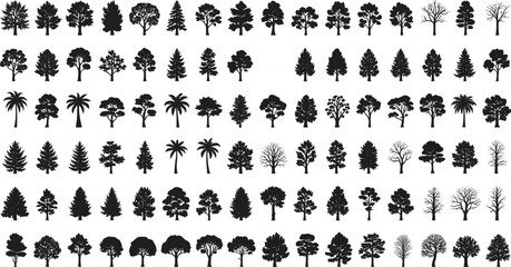 Tree silhouettes, botanical shapes, forest elements, natural diversity, conifer outlines,